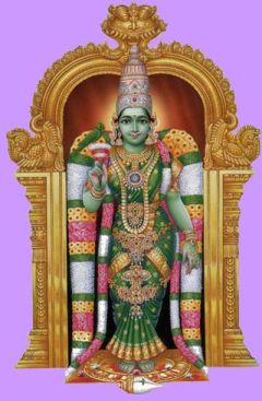 மதுரை மீனாட்சி
