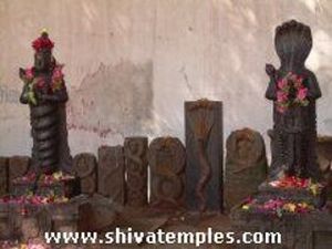 Ragu and Kethu with Naagar