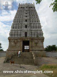 7 நிலை கோபுரம்