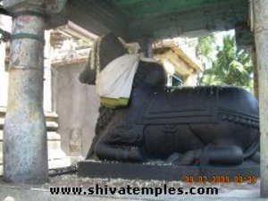 Nandi