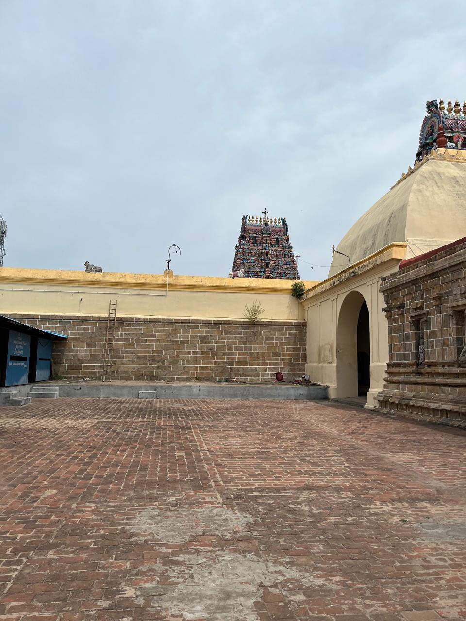 A View
