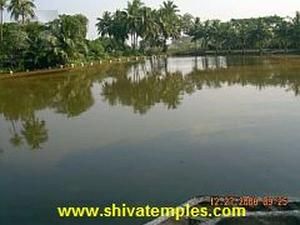 Temple Pond
