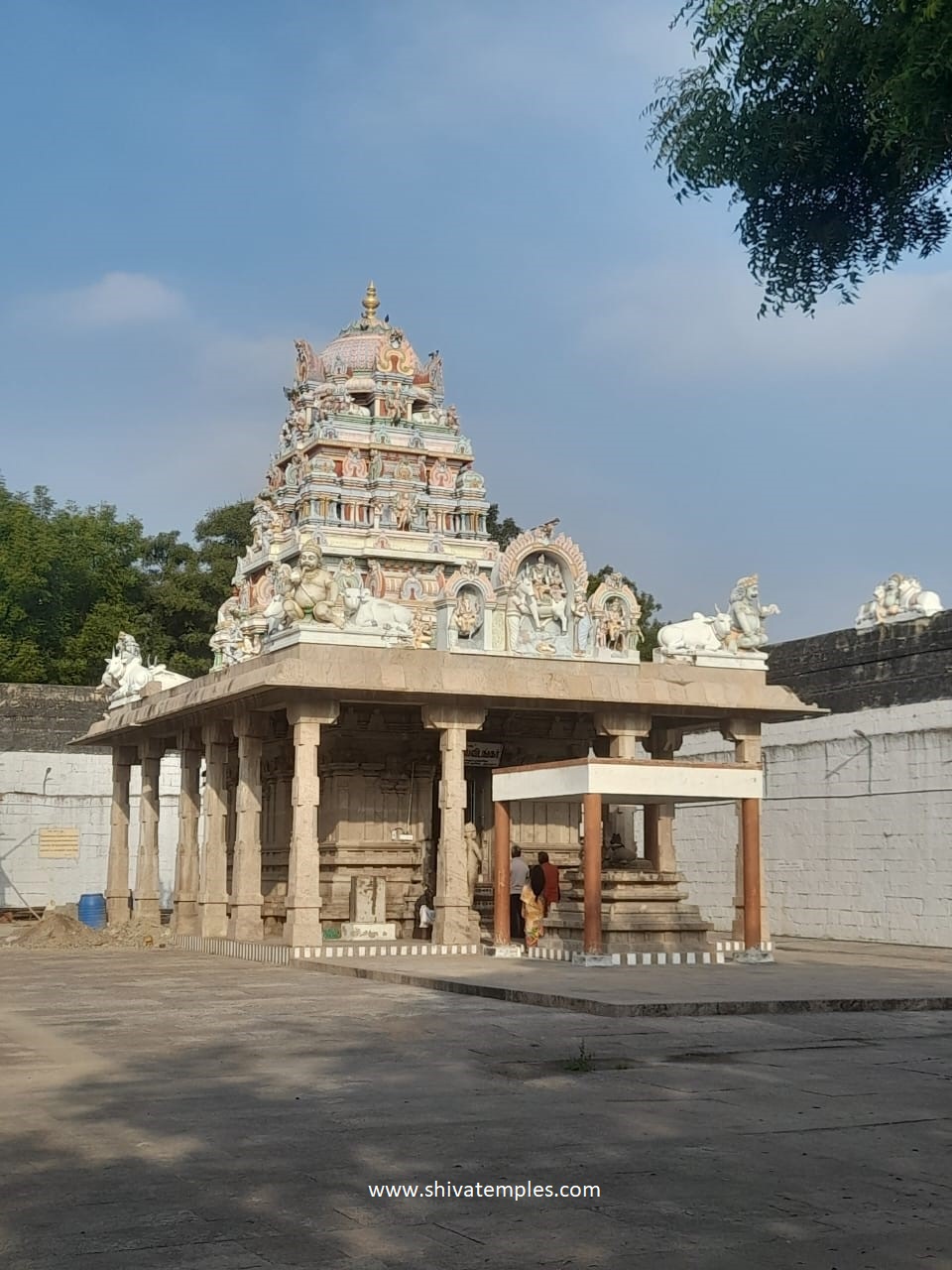 Pralaya Vidangar