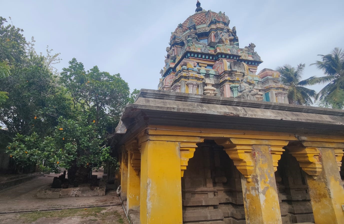 ஸ்வாமி விமானம் மற்றும் பலா மரம்