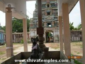 நந்தி, கொடிமரம்