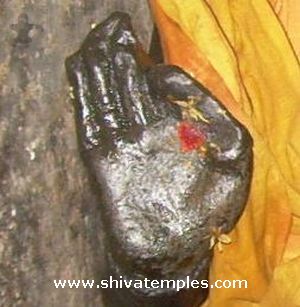 பின்னப்படுத்தப்பட்ட வலது கை கட்டைவிரல்