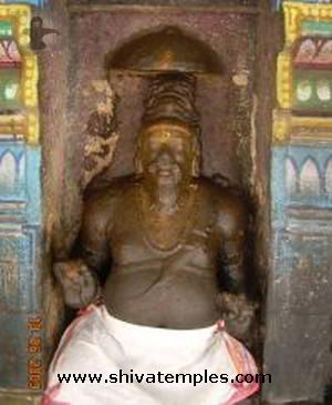 மேதாவி மகரிஷி