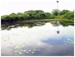 காக்கை மடு தீர்த்தம்